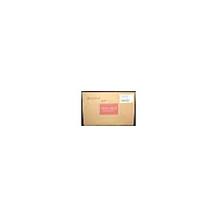  Девелопер XEROX Versant 80/2100 Press пурпурный 55K купить в Restart
